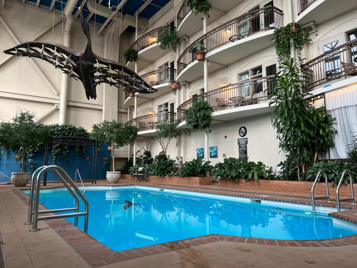Hotel L'Oiseliere Lévis Buitenkant foto