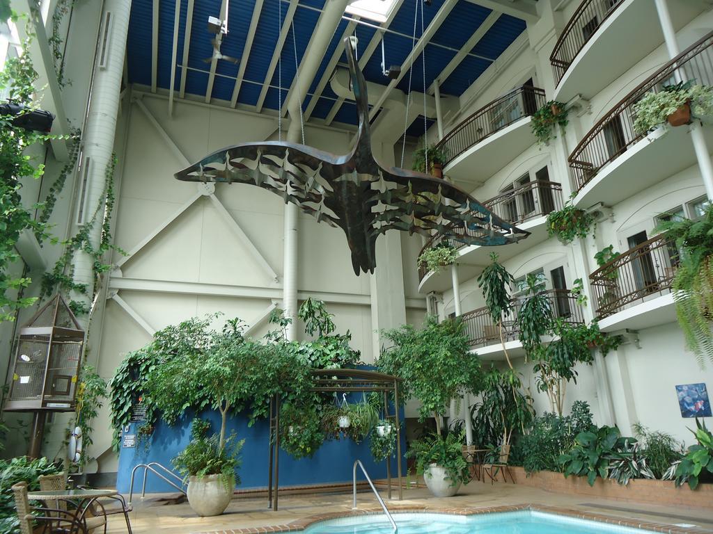 Hotel L'Oiseliere Lévis Buitenkant foto